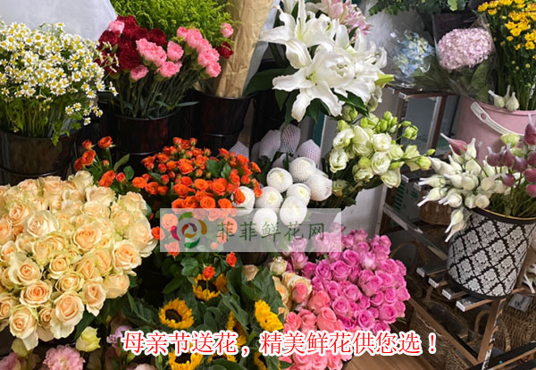 2024石嘴山母亲节送花,石嘴山精美鲜花供您选!