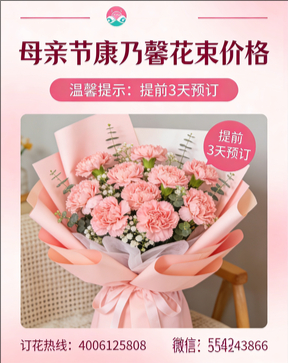 石嘴山花店母亲节康乃馨花束