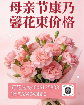 石嘴山花店母亲节康乃馨花束